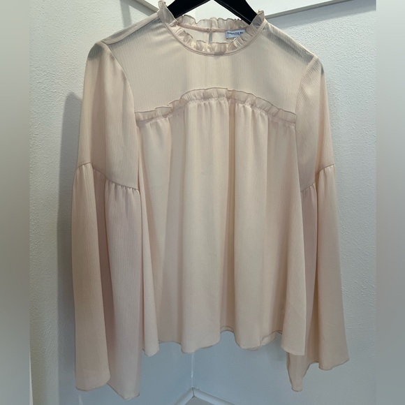 Carolina Belle: Sheer, Blush Blouse - Picture 4 of 4